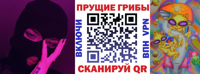 Галлюциногенные грибы Psilocybine cubensis  Белорецк 